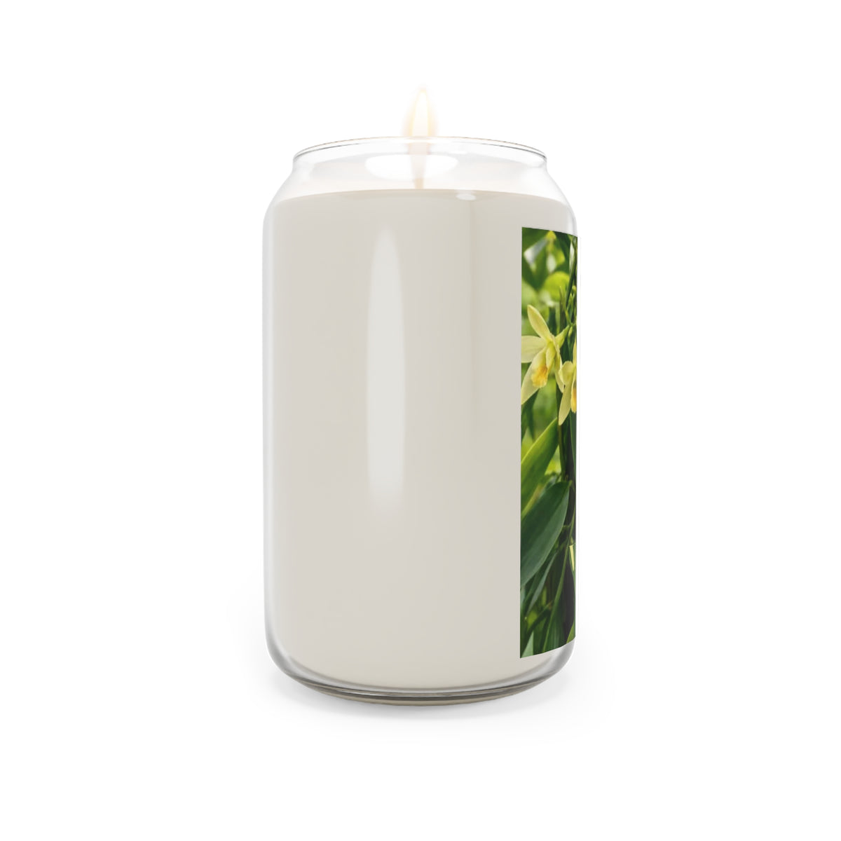 Scented Soy Candles (3) Scents; 13.75oz  - Comfort Spice Autumn Forest, Sea Breeze, Vanilla Bean